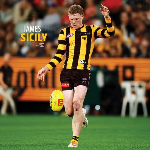 AFL Hawthorn Hawks 2027 Square Wall Calendar