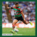 NRL South Sydney Rabbitohs 2027 Square Wall Calendar