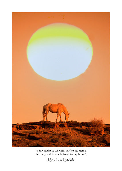 Wild Horses 2027 Weekly Diary