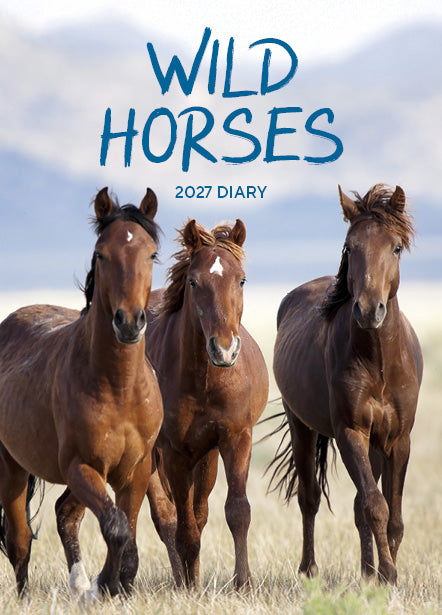 Wild Horses 2027 Weekly Diary