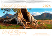 Wild Places of Australia 2026 Desk Easel