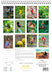 Birds of Australia 2027 Large Wall Calendar