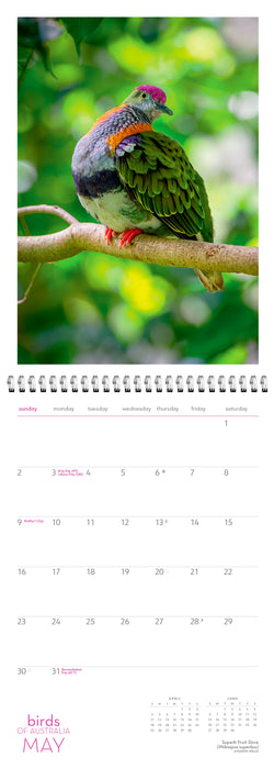Birds of Australia 2027 Large Wall Calendar