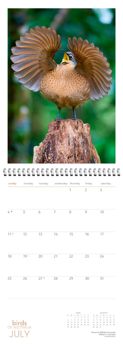 Birds of Australia 2027 Large Wall Calendar