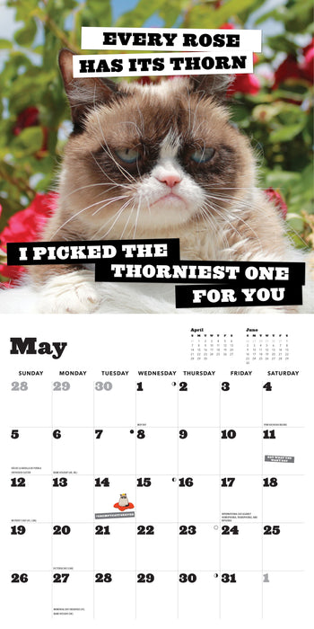 2024 Grumpy Cat 2024 Wall Calendar