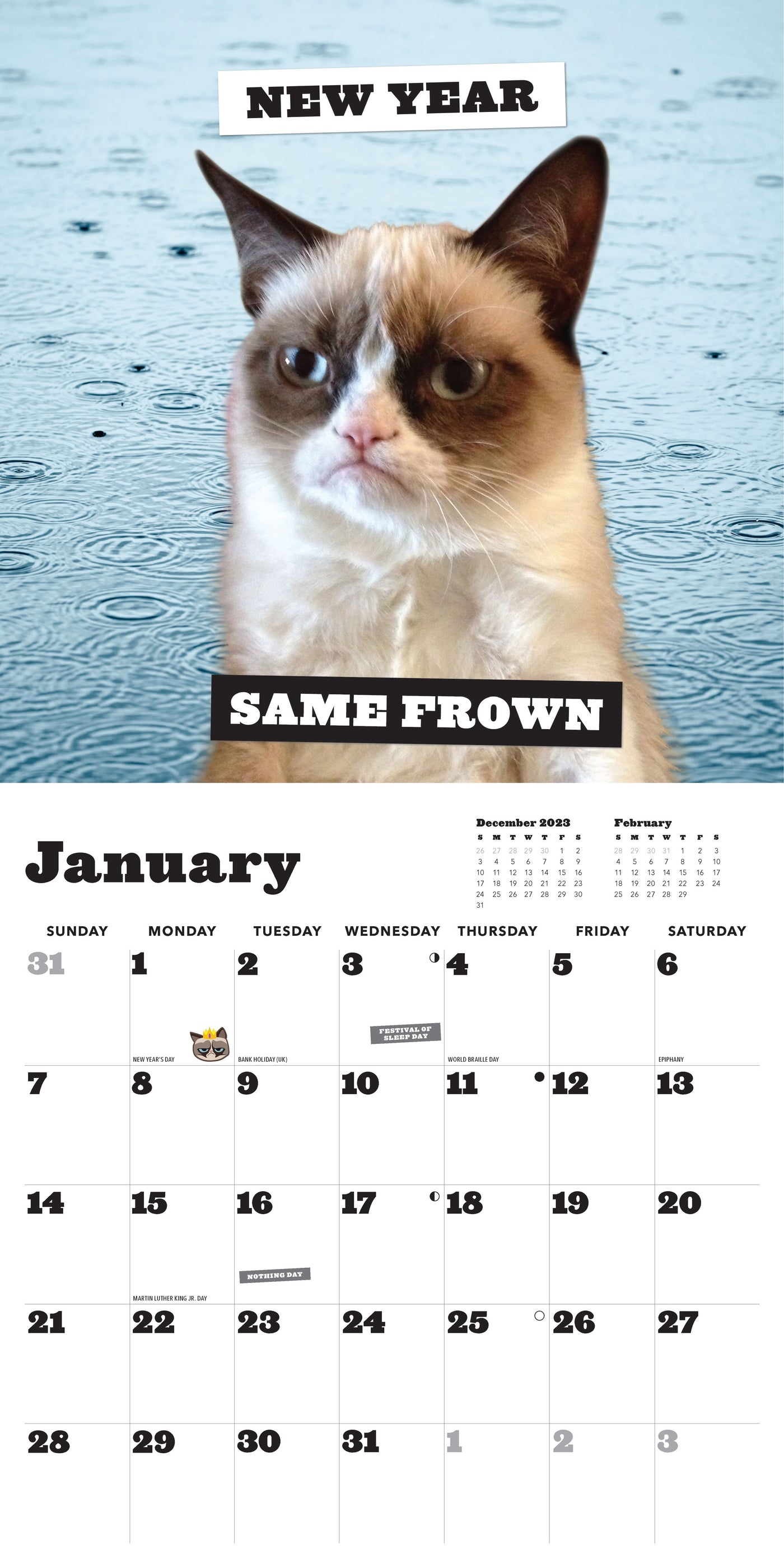 2024 Grumpy Cat 2024 Wall Calendar — Calendar Club