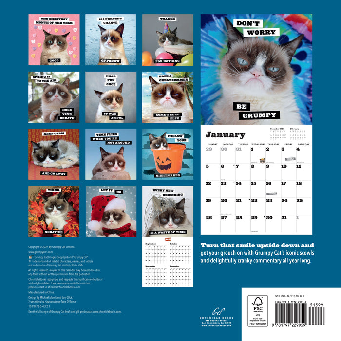 Calendar Club 2025 Grumpy Cat Wall Calendar