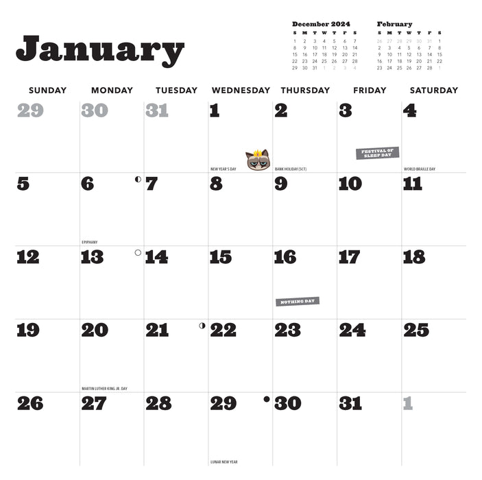 2025 Grumpy Cat Wall Calendar