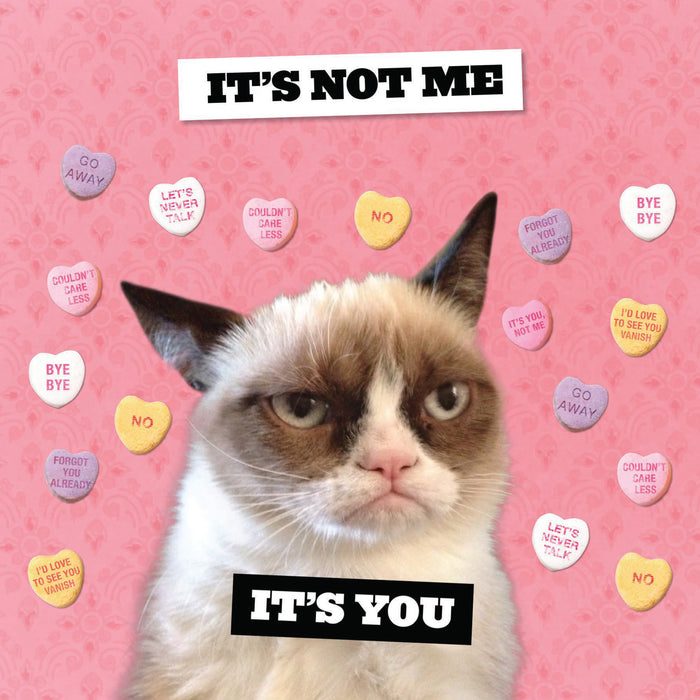 Grumpy Cat 2027 Square Wall Calendar