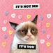 Grumpy Cat 2027 Square Wall Calendar