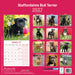 Staffordshire Bull Terrier 2027 Square Wall Calendar
