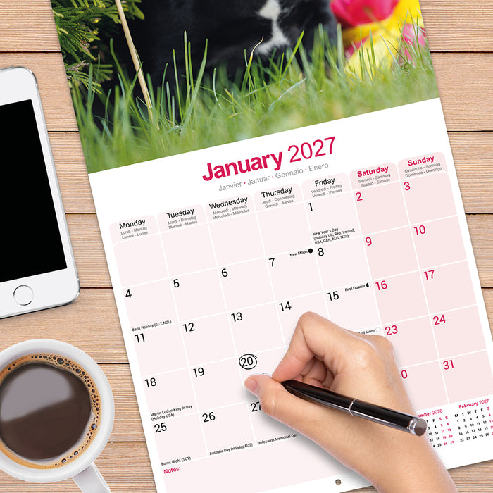 Staffordshire Bull Terrier 2027 Square Wall Calendar
