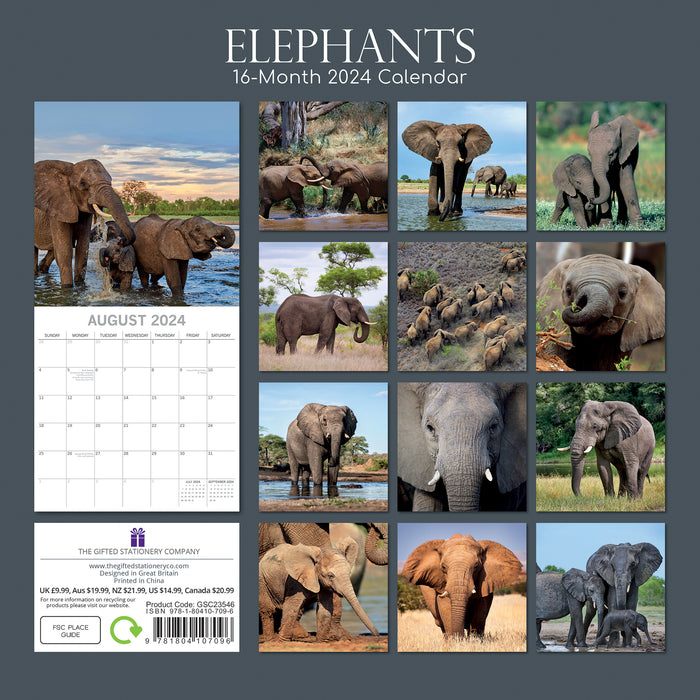 2024 Elephants Wall Calendar — Calendar Club