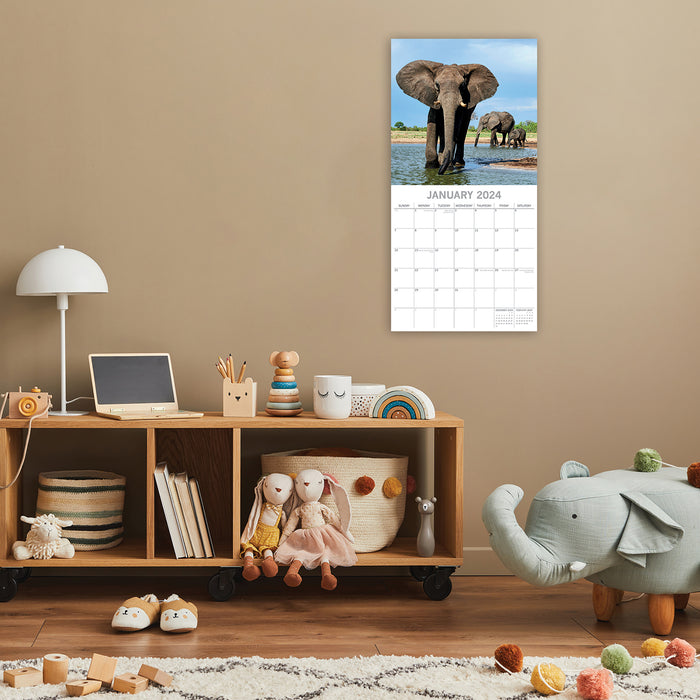 2024 Elephants Wall Calendar
