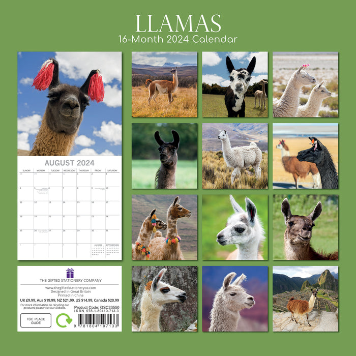 2024 Llamas Wall Calendar