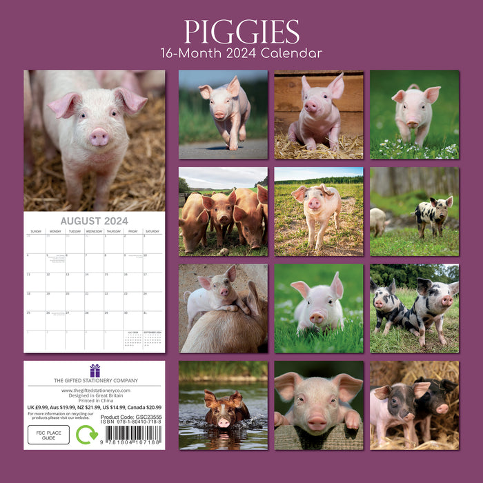 2024 Piggies Wall Calendar Online Exclusive Calendar Club   9781804107188 1 700x700 