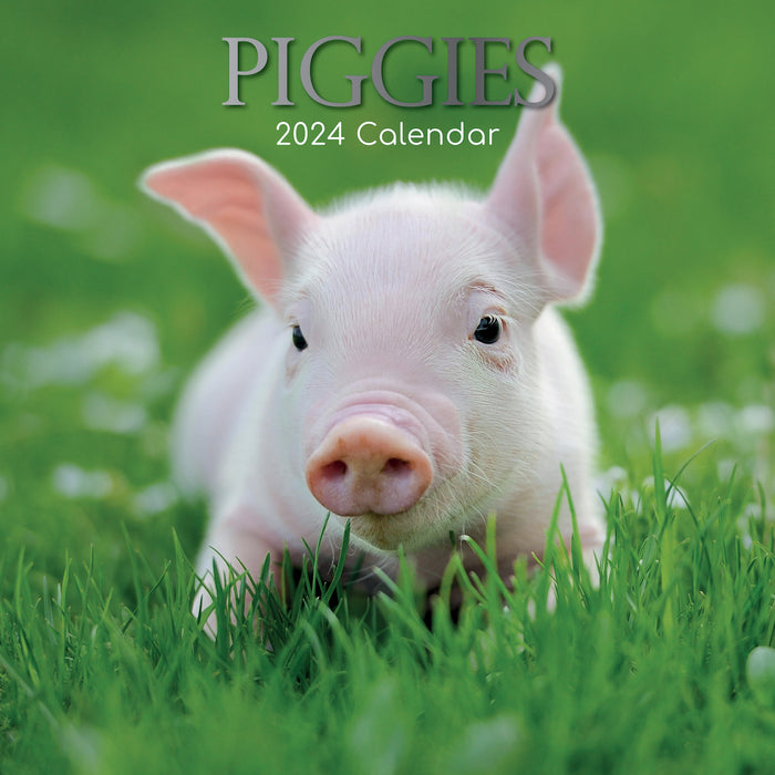 2024 Piggies Wall Calendar (Online Exclusive)