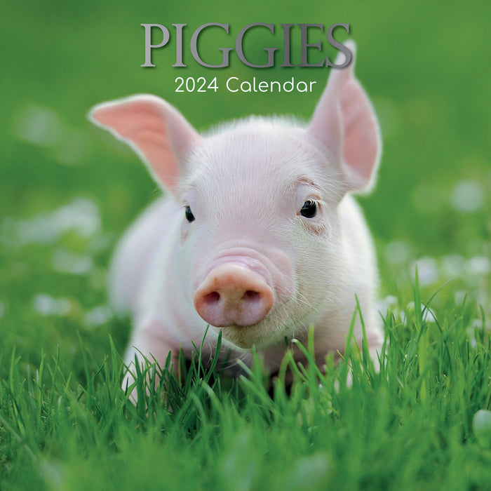 2024 Piggies Wall Calendar Online Exclusive Calendar Club   9781804107188 700x700 