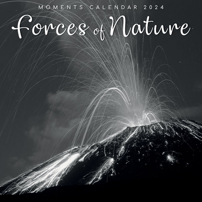 2024 Forces of Nature Wall Calendar (Online Exclusive)