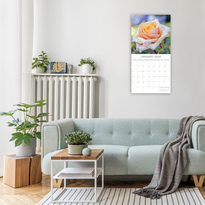 2024 Roses Wall Calendar (Online Exclusive)