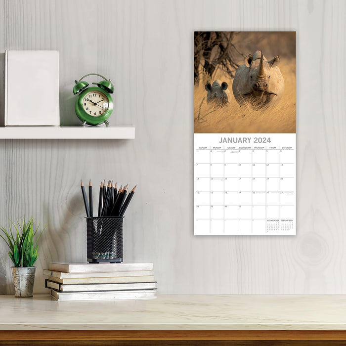 2024 Safari Wall Calendar (Online Exclusive)