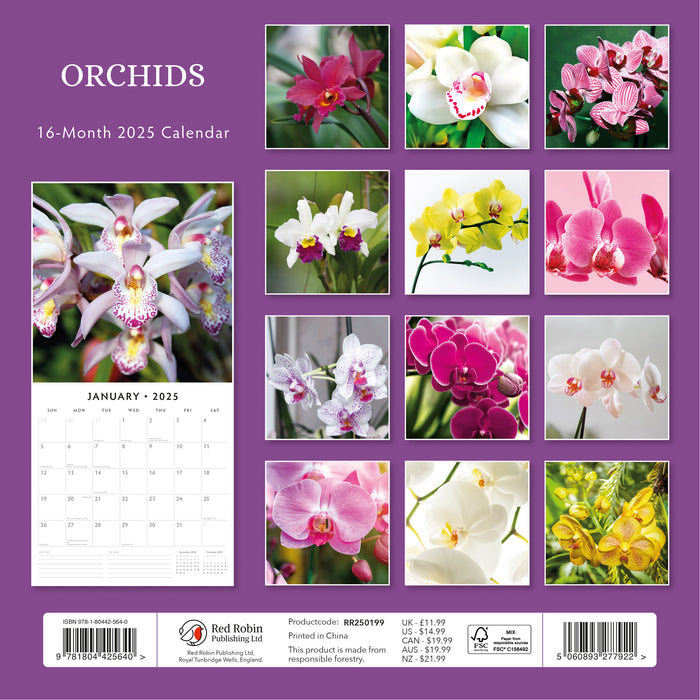 2025 Orchids Wall Calendar