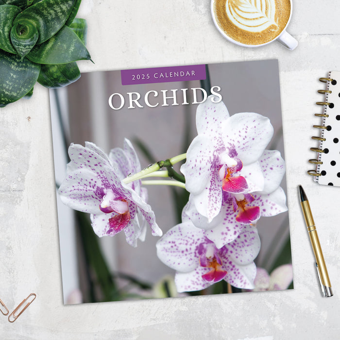2025 Orchids Wall Calendar