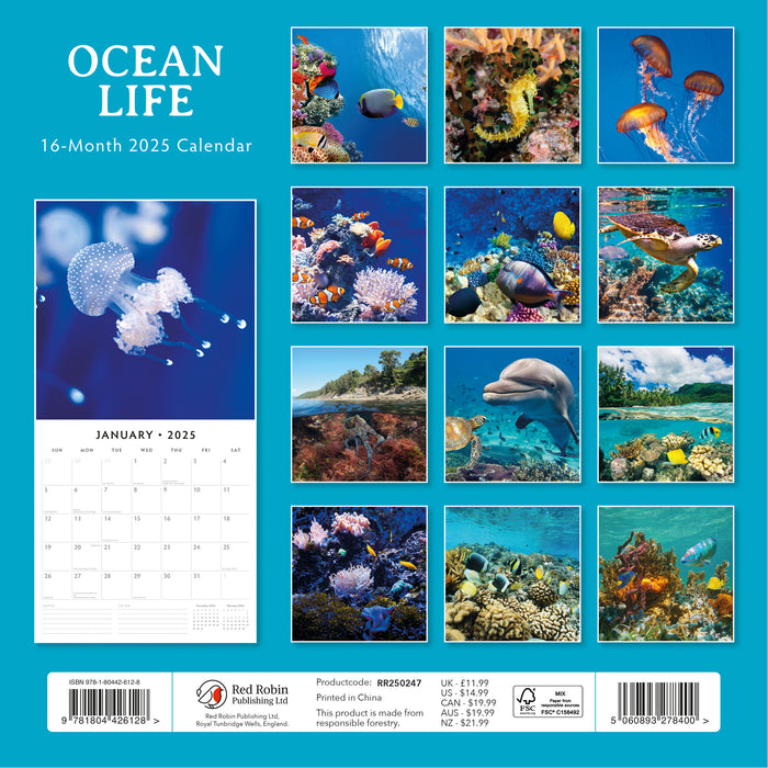 2025 Ocean Life Wall Calendar