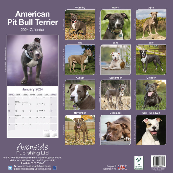 2024 American Pit Bull Terrier Wall Calendar (Online Exclusive)