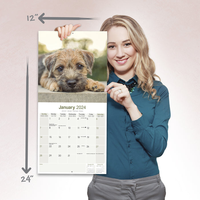 2024 Border Terrier Wall Calendar (Online Exclusive)