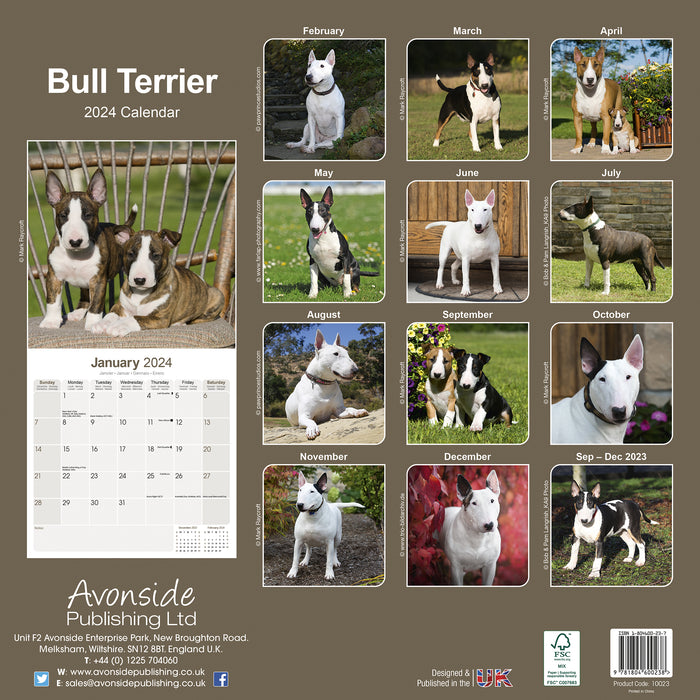 2024 Bull Terrier Wall Calendar