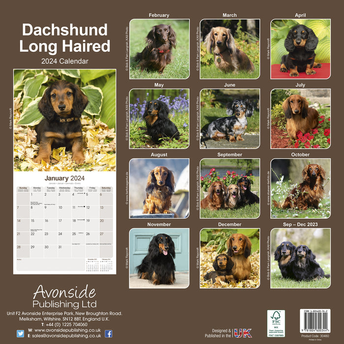 2024 Longhaired Dachshund Wall Calendar (Online Exclusive)