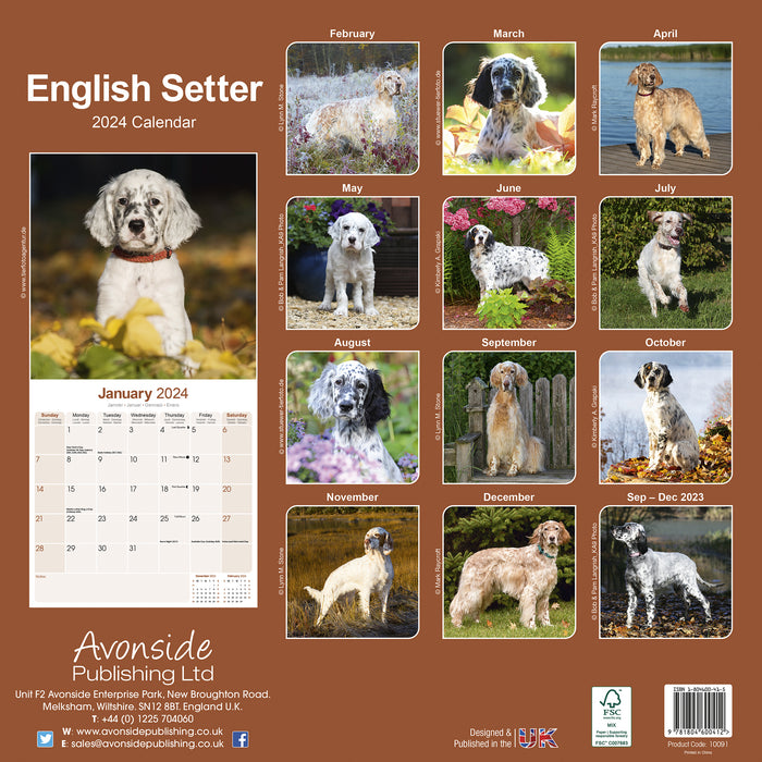 2024 English Setter Wall Calendar (Online Exclusive)