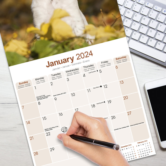 2024 English Setter Wall Calendar (Online Exclusive)