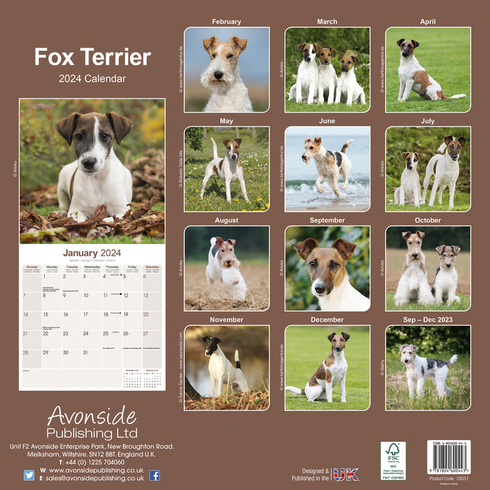 2024 Fox Terrier Wall Calendar (Online Exclusive)
