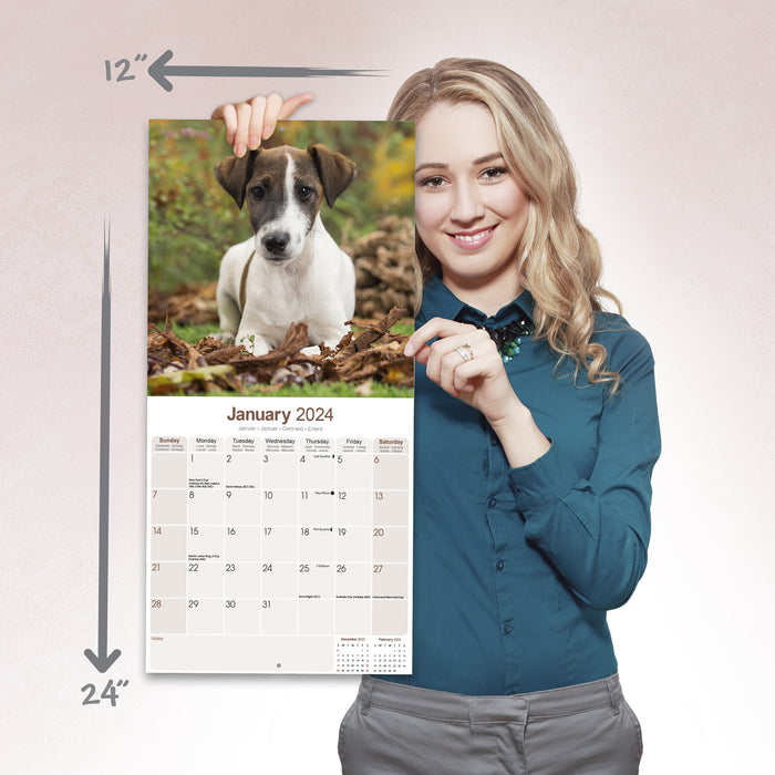 2024 Fox Terrier Wall Calendar (Online Exclusive)