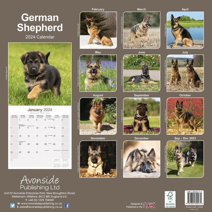 2024 German Shepherd Wall Calendar — Calendar Club