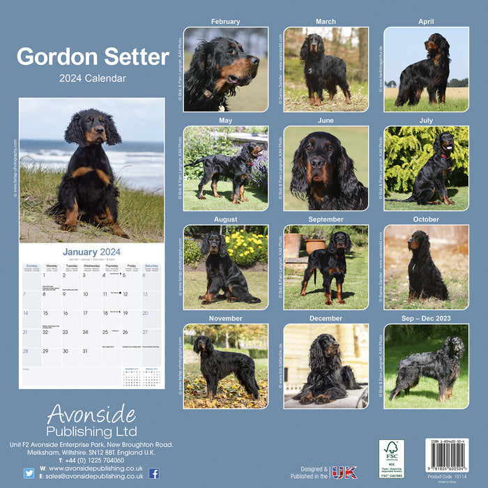 2024 Gordon Setter Wall Calendar (Online Exclusive)