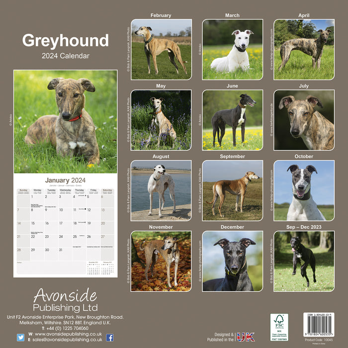 2024 Greyhound Wall Calendar