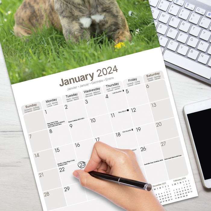 2024 Greyhound Wall Calendar