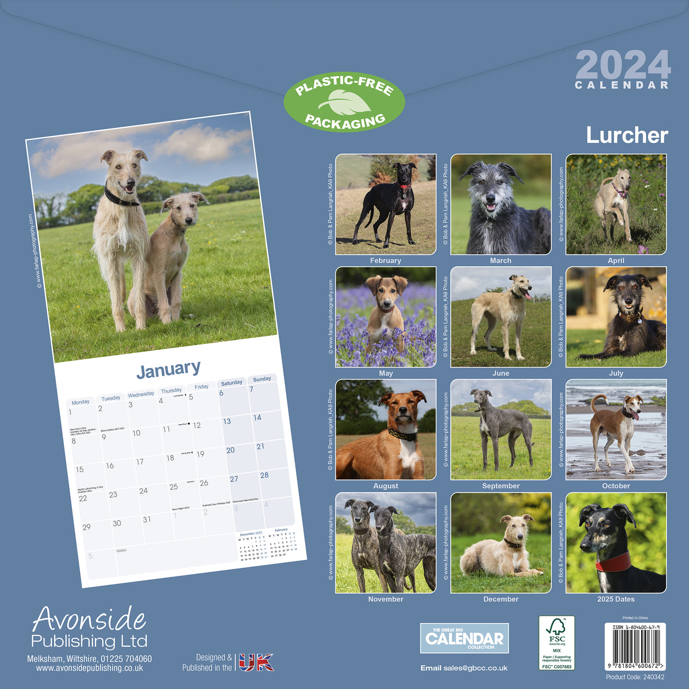 2024 Lurcher Wall Calendar — Calendar Club