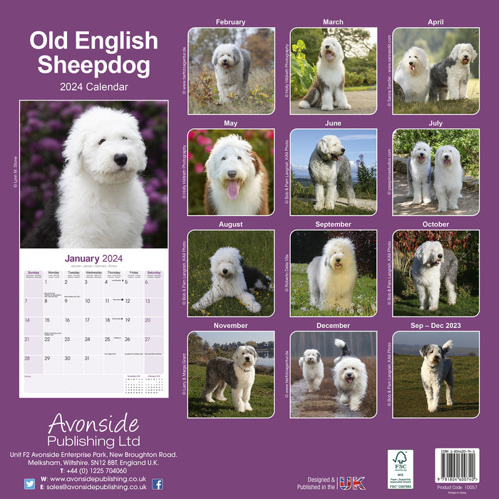 2024 Old English Sheepdog Wall Calendar (Online Exclusive)