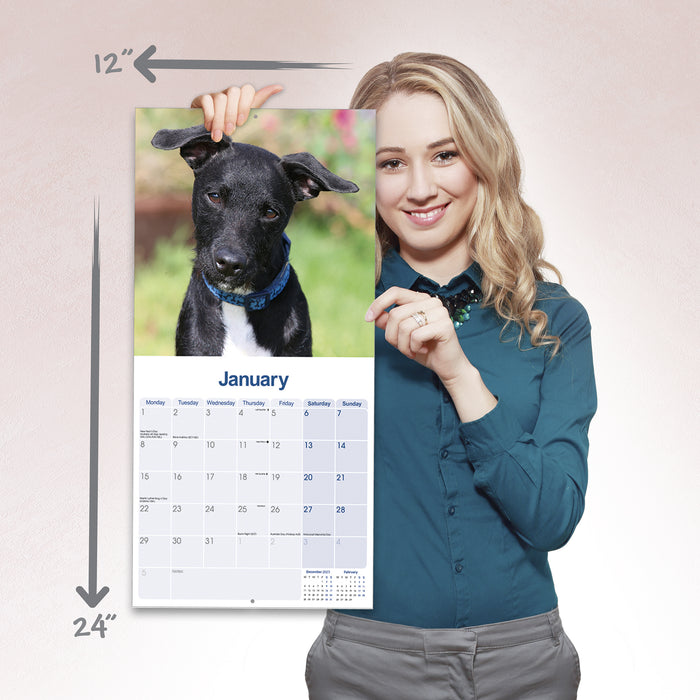 2024 Patterdale Terrier Wall Calendar (Online Exclusive)