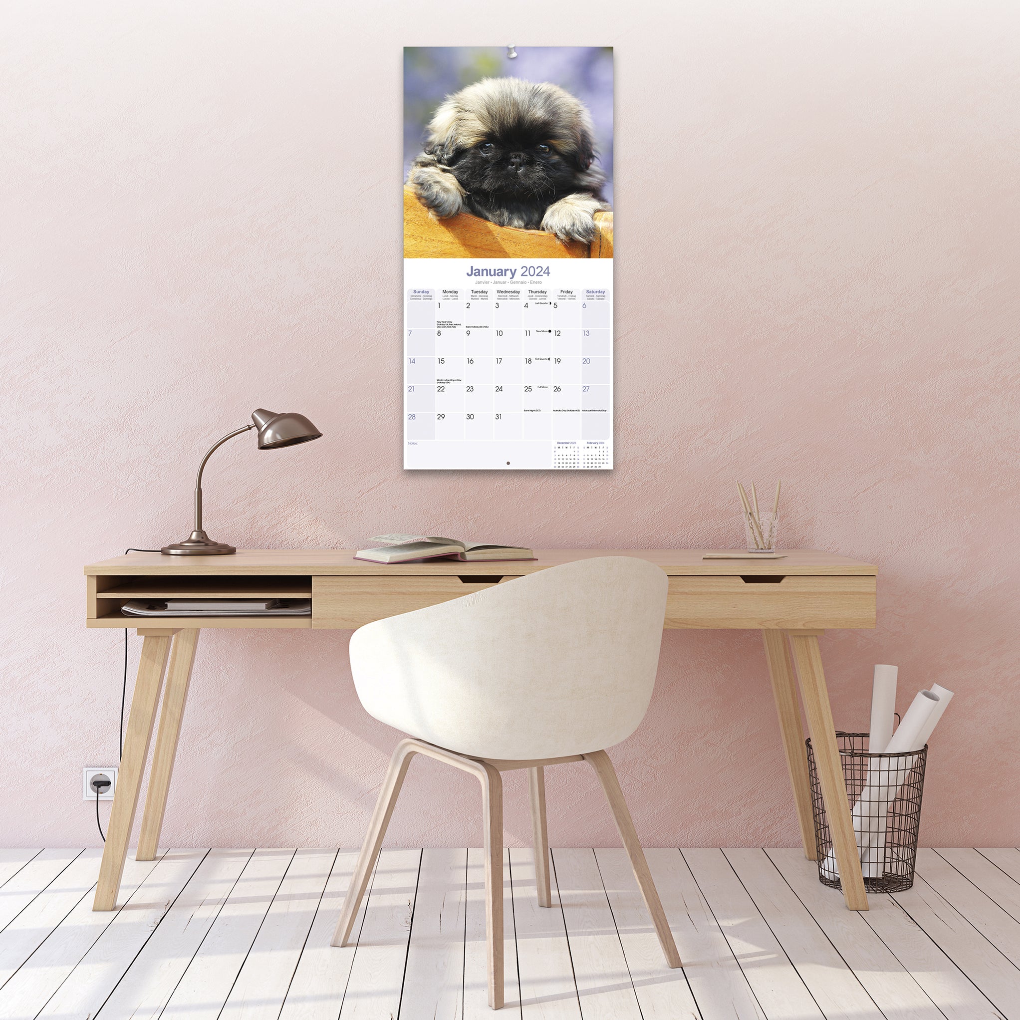 2024 Pekingese Wall Calendar — Calendar Club