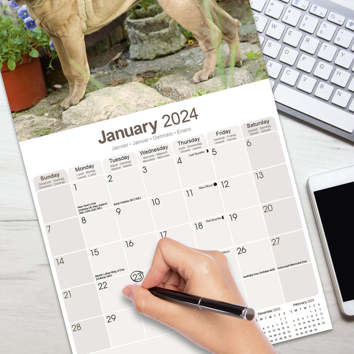2024 Shar Pei Wall Calendar (Online Exclusive)