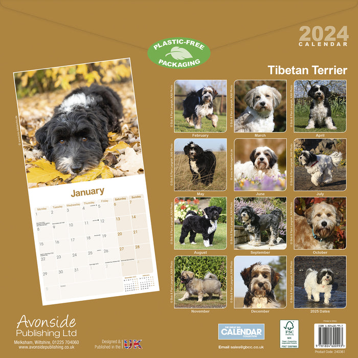 2024 Tibetan Terrier Wall Calendar (Online Exclusive)