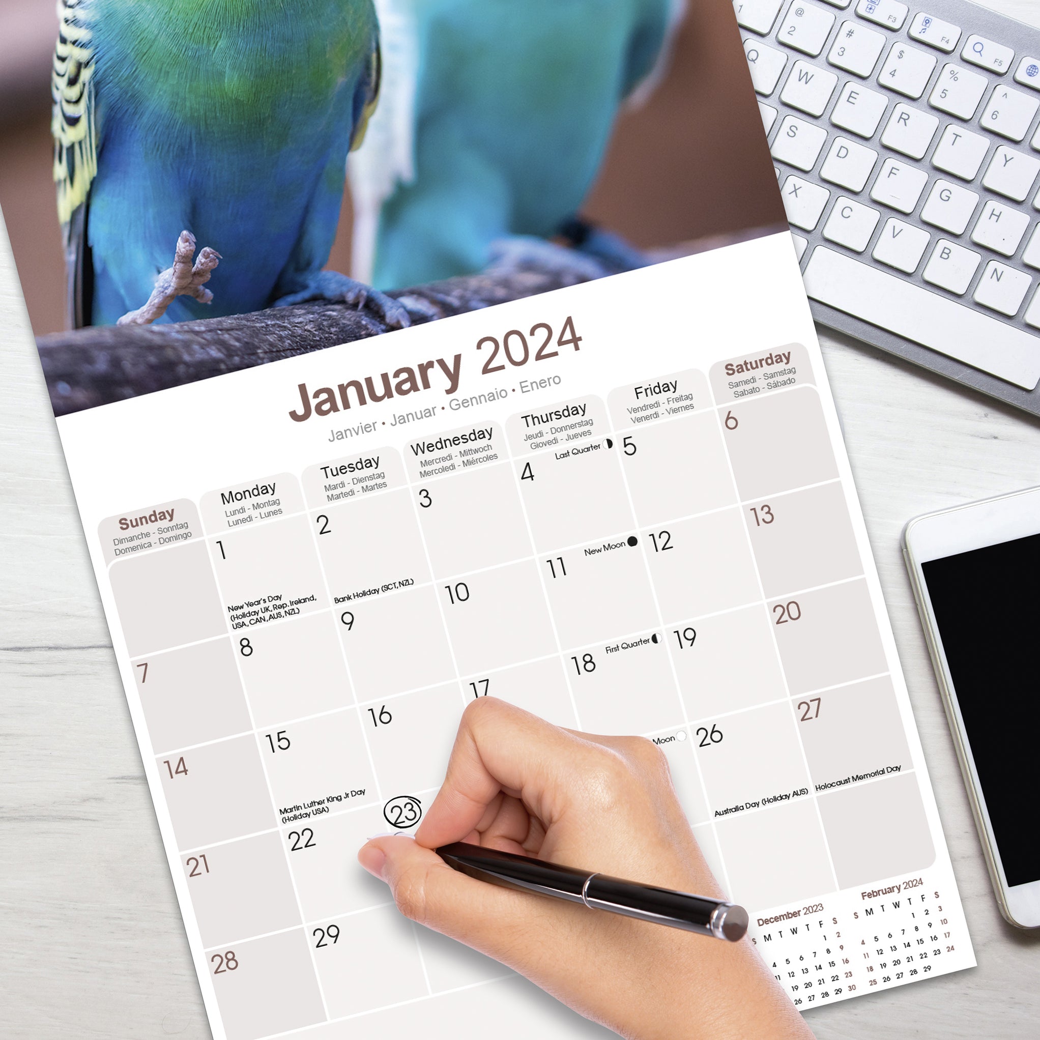 2024 Budgerigar Wall Calendar Exclusive) — Calendar Club