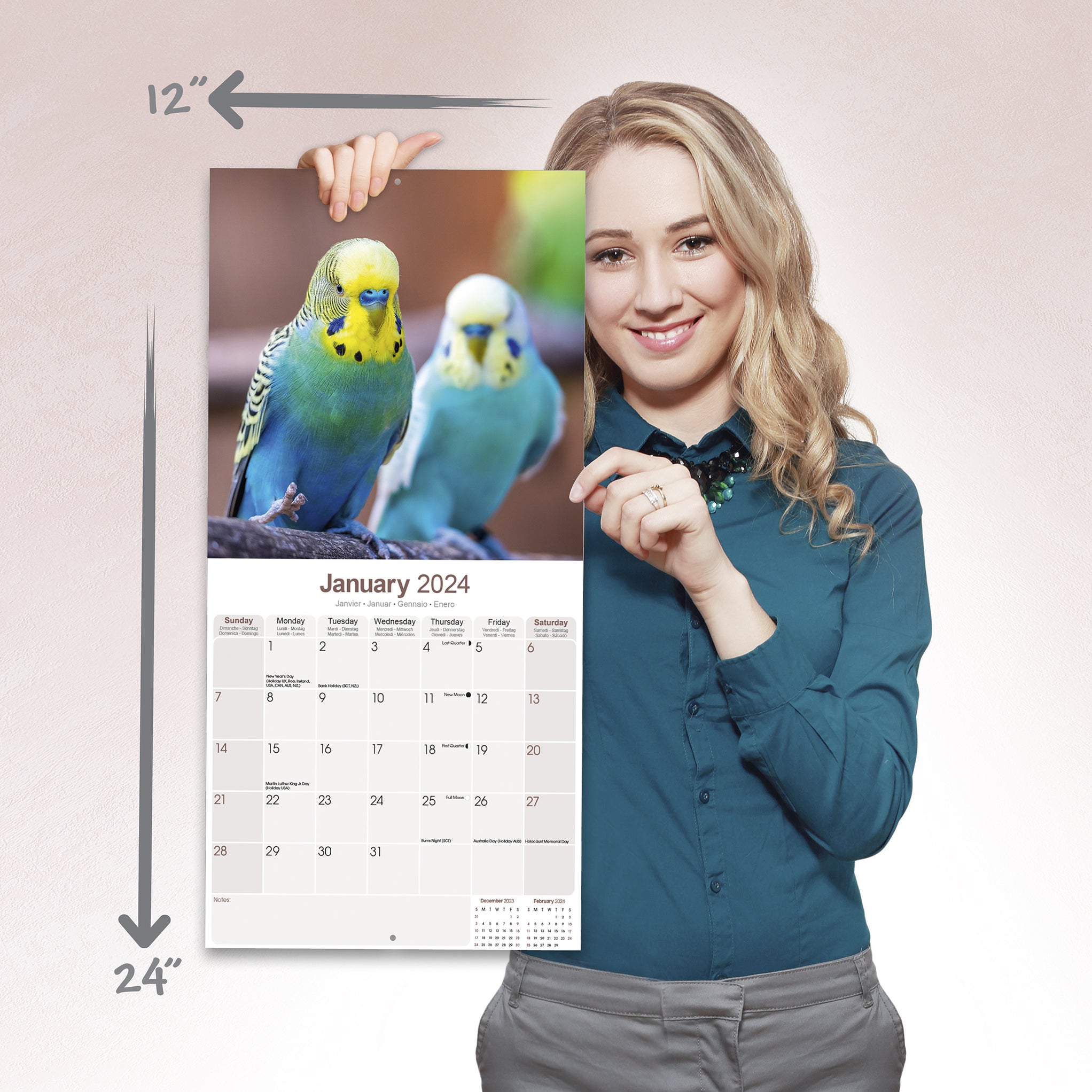 2024 Budgerigar Wall Calendar Exclusive) — Calendar Club