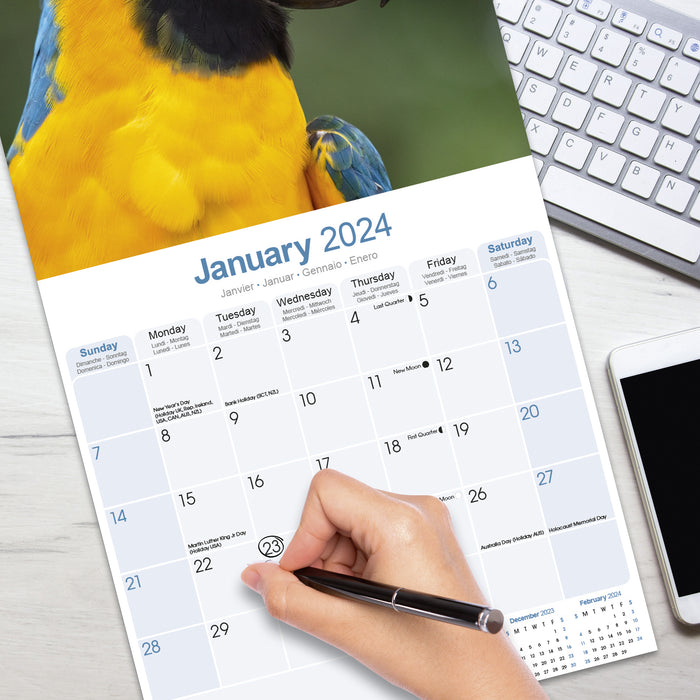 2024 Macaws Wall Calendar (Online Exclusive)