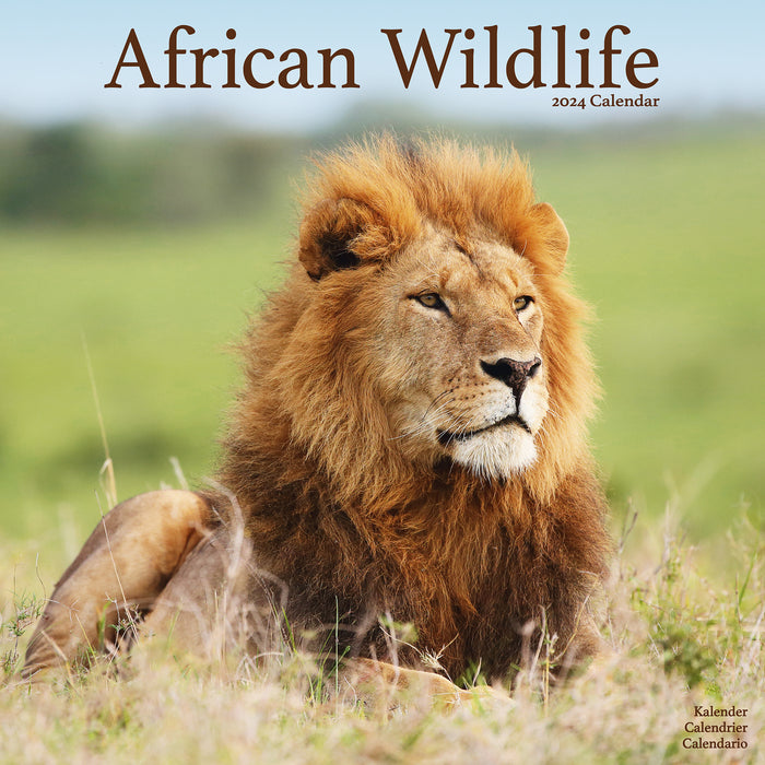2024 African Wildlife Wall Calendar
